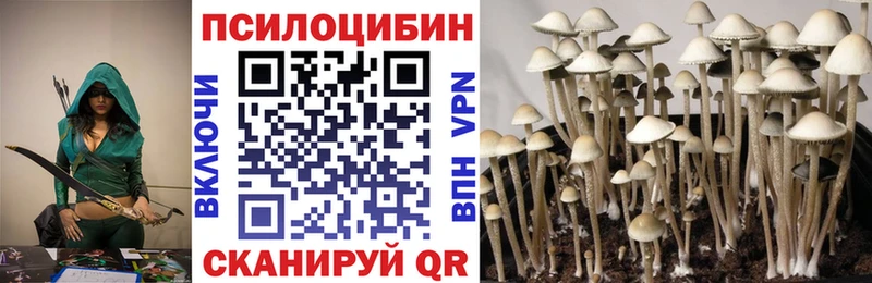 Псилоцибиновые грибы ЛСД  Новомичуринск 